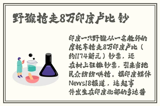 国产∨a免费精品观看精品